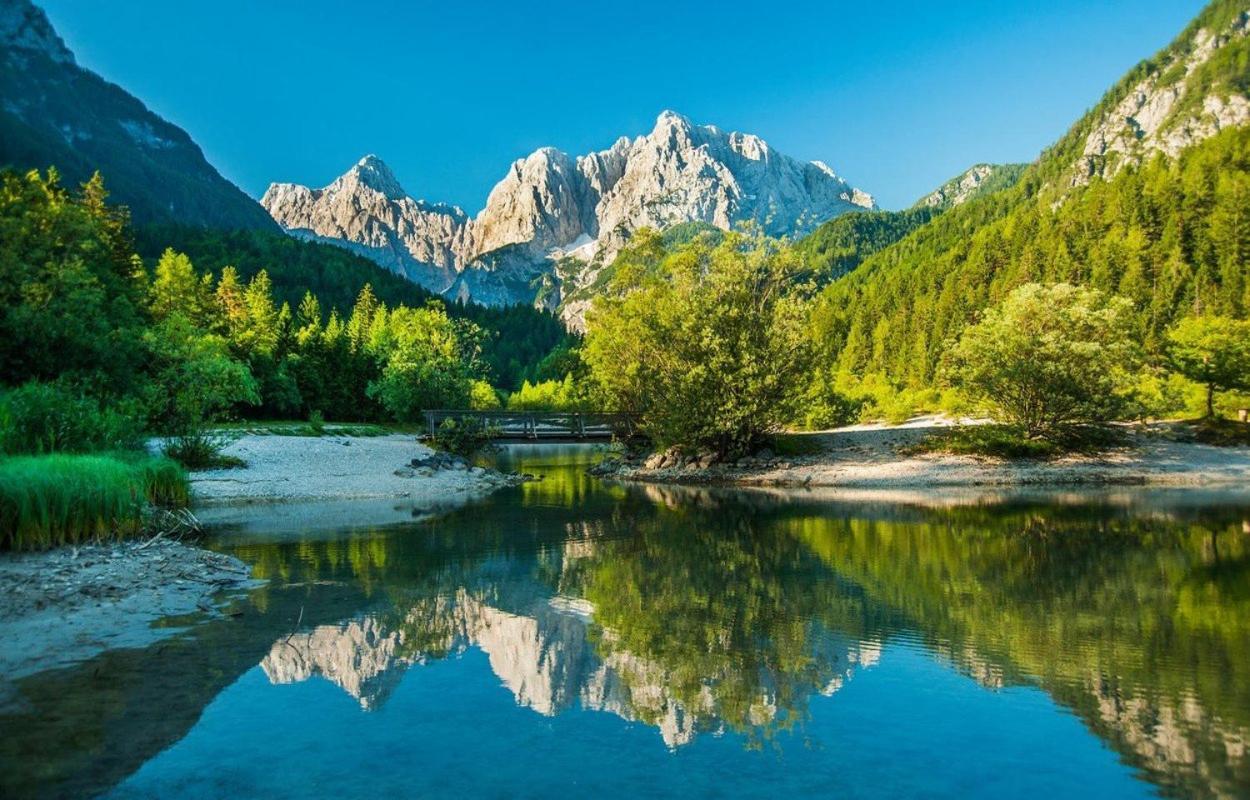 Bor In Bor Luxury Apartment With Sauna & Garden - Kranjska Gora Buitenkant foto