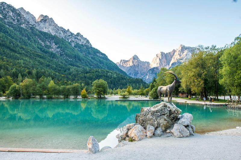 Bor In Bor Luxury Apartment With Sauna & Garden - Kranjska Gora Buitenkant foto